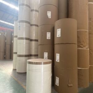 190/210 GSM Single PE Coated Cup Paper Roll for Coffee Cup Recycled Raw Material