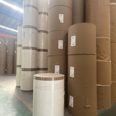190/210 GSM Single PE Coated Cup Paper Roll for Coffee Cup Recycled Raw Material