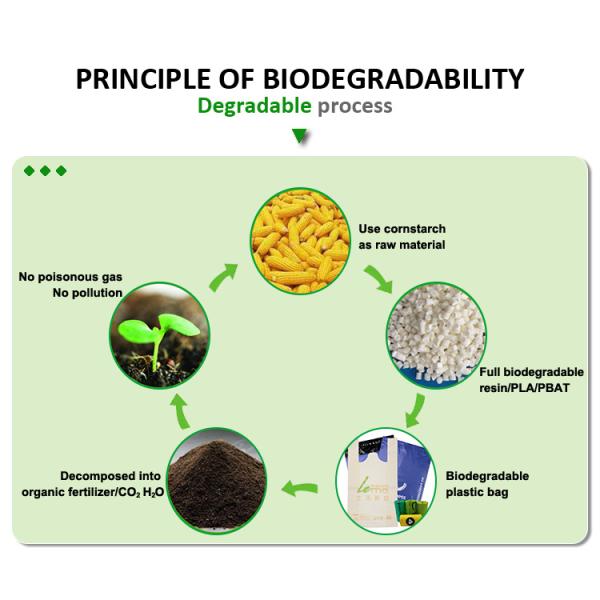 Practical Mailing Biodegradable Plastic Bags Tearproof Recyclable