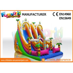 Giant Vinyl Commercial Inflatable Slide / Double Inflatable Playground Slide