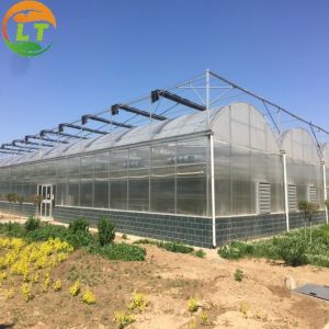 Multi-Span Agricultural Greenhouses Gutter Height for Optimal Temperature