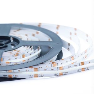 High Quality RGBW COB LED Strip 24V 19W/M Wholesale Price