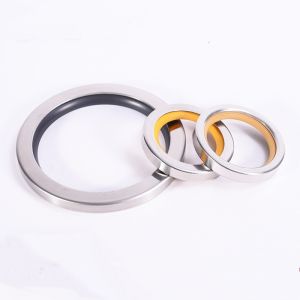 FKM Oil Seal for Automotive Applications with Different Rubber Materials NBR FPM