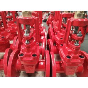 CUSTOMIZED Port Size DN150 1.6Mpa Non Rising Stem Gate Valve Standard