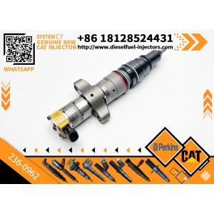 Golden Vidar Befrag Fuel Injector 236-0962 235-2888 10R-7224 for CAT C9 / C-9