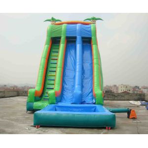 Commercial Grade Inflatable Pool Slide with Palm Trees