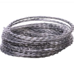 Galvanized Razor Barbed Wire Durable and Easy Installation with 2.5mm Wire
