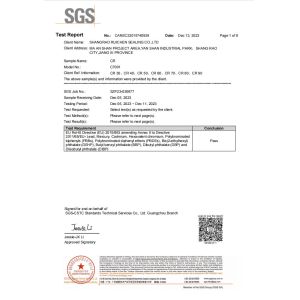 Dongguan Ruichen Sealing Co., Ltd. Certifications