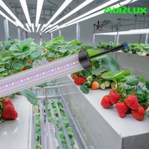 Strawberry Bar Style LED Grow Lights 70W Led Grow Lamp Energy Efficient