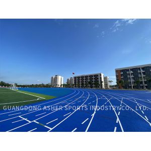 Wholesale Professional 13mm Hybrid Plastic Running Track Eco-Friendly PU and EPDM Granules Wear-Resistant Anti-Aging IAAF-Compliant for Schools from china suppliers