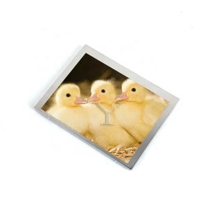 A101VW01 V0 10.1 Inch 800*480 Parallel RGB 60pin WLED TFT Lcd Panel Display