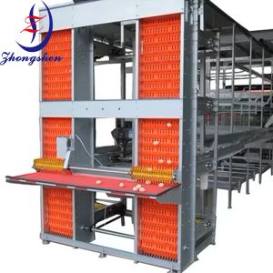 Egg Collection System Egg Collection Decelerator For Poultry Farm