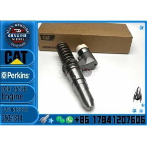 China Common rail fuel injector  250-1314  392-0206 150-4453 162-8809 162-8813 192-2817 204-2067 229-1631 245-8272 on sale