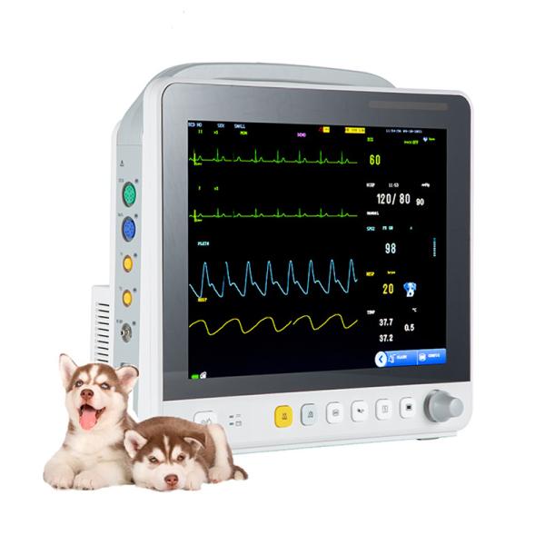 Quality 12.1inch Portable Vet Multi-parameter Monitor Yonker VE 12 Monitor Veterinary Multi-parameter 8 Monitor Price for sale