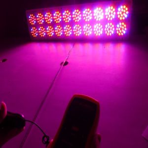 Wholesale Apollo20 900W 10bands Full Spectrum LED Grow light with Cree led lights For Indoor Plants from china suppliers