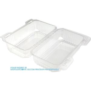 Disposable Plastic Hinged Loaf Containers - Durable Small Hoagie Container -