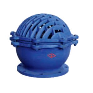 Lifting Bottom Swing Check Valve Flange Type Cast Iron 2.5 Mpa DN50~DN350