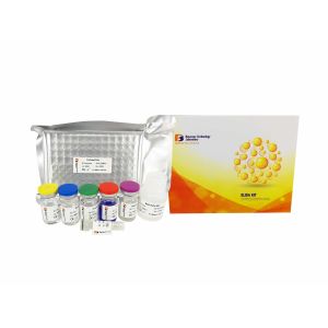 96 Wells High Sensitive Human Myo-inositol Oxygenase ELISA Kit