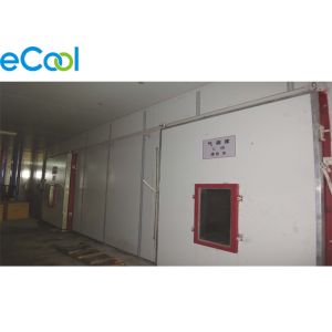 Large Scale Custom Cold Storage Built In Already Existed Warehouse With Electric
