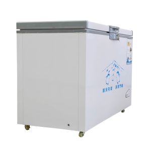Big Handle 165L/325L Thickness Foaming Two Door Chest Freezer/Deep Freezer