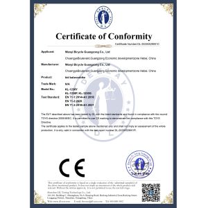 Wanyi Bicycle Guangzong Co., Ltd. Certifications