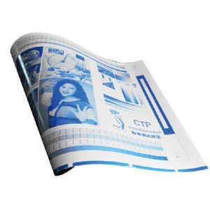 Wholesale Long Run Length Solvent Resistance CTP Offset Printing Plates from china suppliers