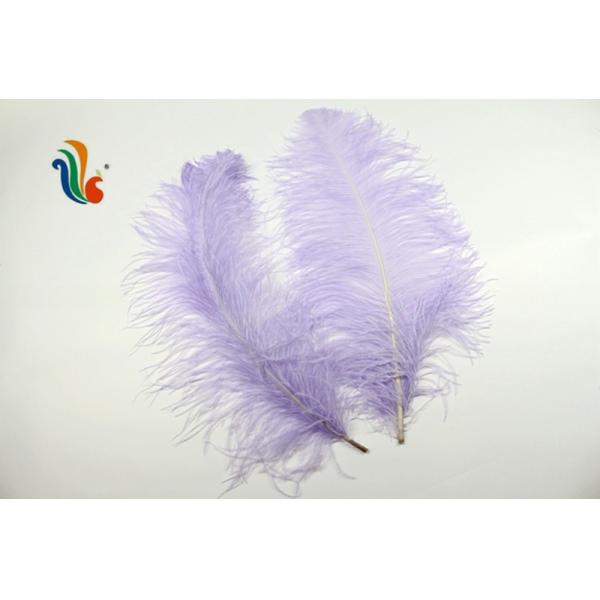 Various Color Millinery Feather Ostrich Plume Feathers 50-55cm For Hat Decoration