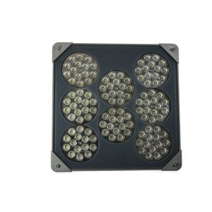 LED Canopy Lights IP66 With IK10, Explosion proof, driver, Adjustable arm