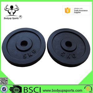 Adjustable Dumbbell Weight Plates , Black Paint Cast Iron Weight Plates