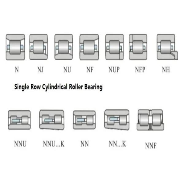 Double Row Full Complement Cylindrical Roller Bearings NJ202-E-XL-TVP2 NJ203-E-XL-TVP2 For Construction Machinery