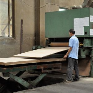 Grade E1 E0 P1 P2 Fancy Plywood AfrormosiaBoard Standard Size 2440*1220mm Length
