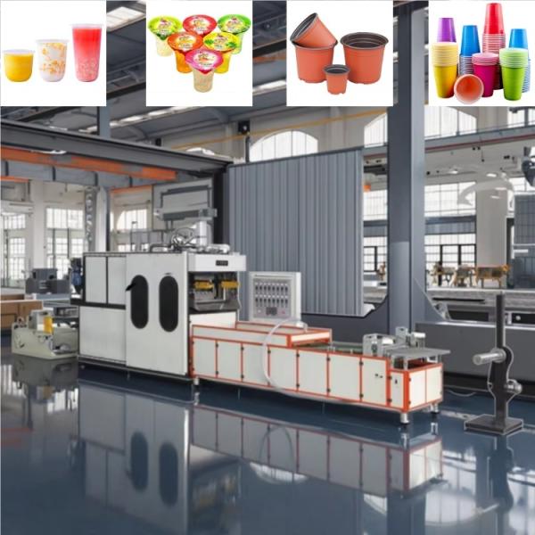 Full-automatic Plastic Cup Thermoforming Machine