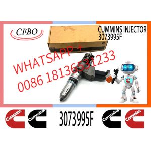 Cummins N14 engine common rail fuel injector 4307795 3073995F 3083846 3083622