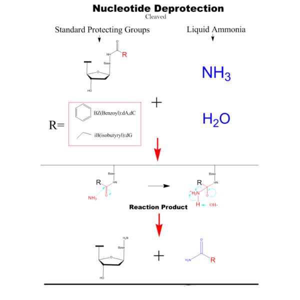 12 Column Medium Throughput Oligonucleotide Synthesis Equipment for DNA RNA Primer