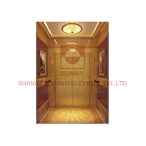 Stable CE Internal 630kg 1.0m Personal Home Elevator With And Without