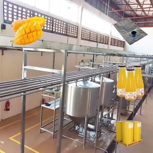 Industrial 1 - 5T/H Mango Juice / Jam Processing Line All In One Service
