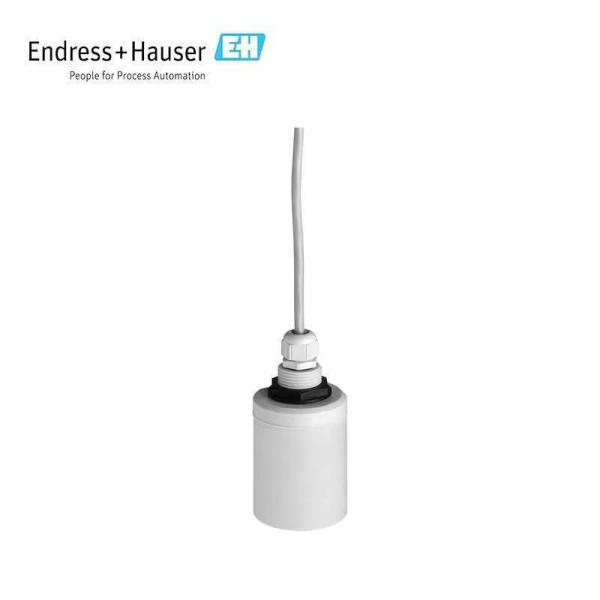 Quality 100% New Original Endress-Hauser Ultrasonic Interface Sensor Turbimax CUS71D Digital Sludge Level Sensor a Good Price in Stock for sale