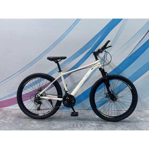 Customized MTB Mountain Bikes with Comfort Saddle and Aluminum Frame