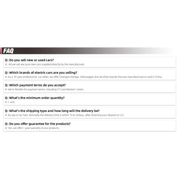 Made in China Aircraft Leopard Training Short and Medium-distance Travel Airplane