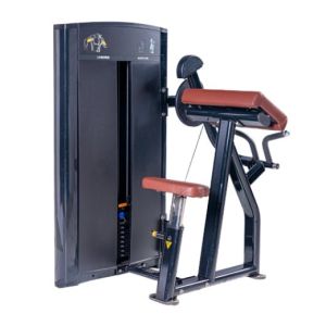 Wholesale Top Quality Biceps Machine Gym Use Commercial from china suppliers