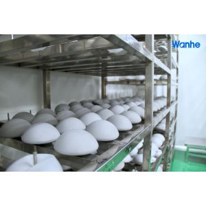 Wholesale B220 Silicone Shape Of Ball Tissue Expander For Implantable Expander from china suppliers