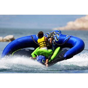 Custom Adult 4m By 3m Inflatable Flyfish With Private Logo