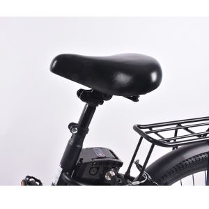 PAS Electric Cargo Bicycle 250W 36V With 10000mAh Lithium Battery