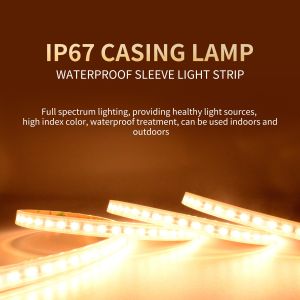 Wholesale High Brightness 120pcs SMD 2835 LED Strip Monochrome Temperature from china suppliers