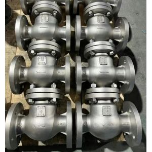 Flange Joint Ends BS Standard Swing Check Valve for OBM Customized Solutions and