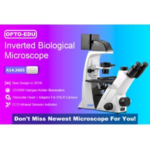 China 20x / 40x Annular Spot Inverted Optical Microscope Trinocular A14.2605 on sale