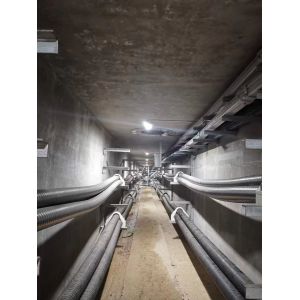 Wholesale Status Code 403 Explosion Proof Fluorescent Light Safe and Durable for Industrial Applications from china suppliers