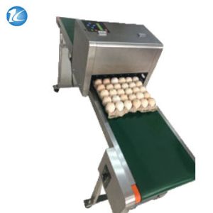 Wholesale Professional Egg Breeding Machine Date Coding Machine One Year Warranty from china suppliers