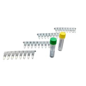 Wholesale Stable PCR Isothermal Amplification Kit For Genetic Engineering from china suppliers