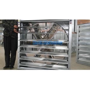 Wholesale Poultry House Ventilation Fan from china suppliers